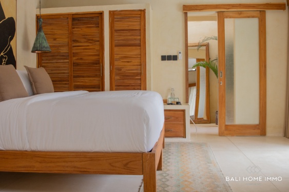 Image 12 from VILLA DE LUXE DE 8 CHAMBRES À VENDRE EN BAIL IMMOBILIER - INVESTISSEMENT LOCATIF À HAUTE RENTABILITÉ