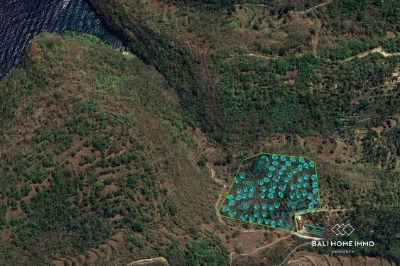 Image 4 from Prime Location 200 Are Land For Leasehold Sale in Nusa Penida