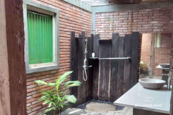 Image 10 from Properti yang perlu direnovasi berpemandangan sawah Dijual di Umalas