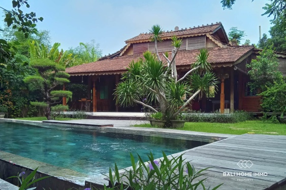 Image 1 from Properti yang perlu direnovasi berpemandangan sawah Dijual di Umalas