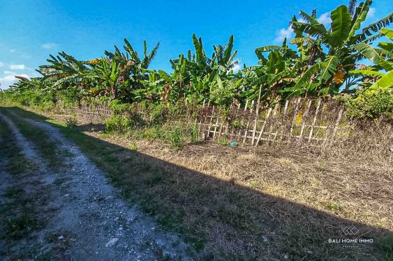 Image 3 from Quiet Place Land for Sale Freehold in Bali Petitenget