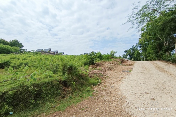 Image 6 from Rare Small Plot Touristic Zoning Land for Sale Freehold and Leasehold in Bingin