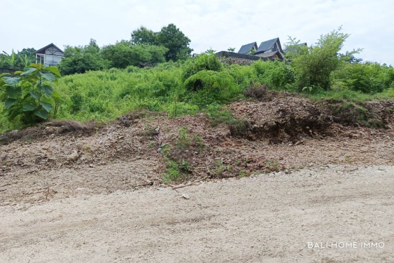 Image 7 from Rare Small Plot Touristic Zoning Land for Sale Freehold and Leasehold in Bingin