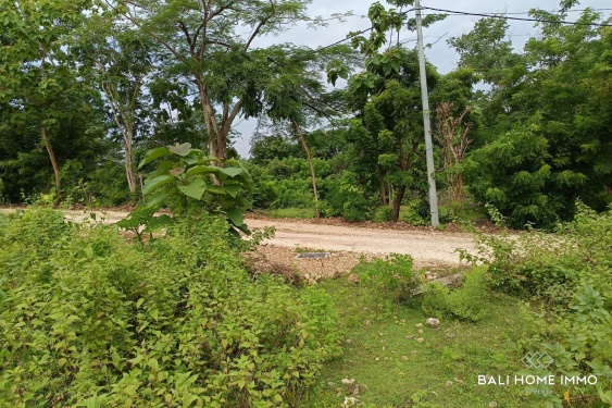 Image 2 from Rare Small Plot Touristic Zoning Land for Sale Freehold and Leasehold in Bingin