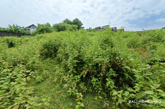 Image 3 from Rare Small Plot Touristic Zoning Land for Sale Freehold and Leasehold in Bingin