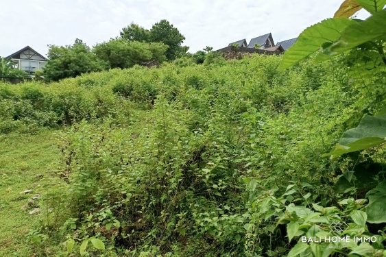 Image 4 from Rare Small Plot Touristic Zoning Land for Sale Freehold and Leasehold in Bingin