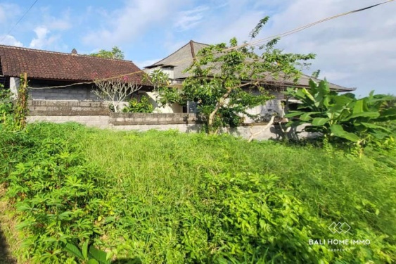 Image 3 from Terrain résidentiel de 16 ares à vendre à Kemenuh Gianyar