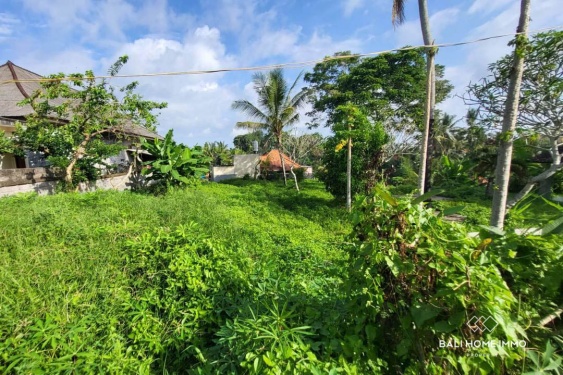 Image 2 from Terrain résidentiel de 16 ares à vendre à Kemenuh Gianyar