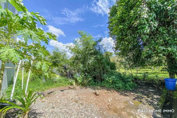Image 2 from Residential Land for Sale Freehold in Bali Jimbaran