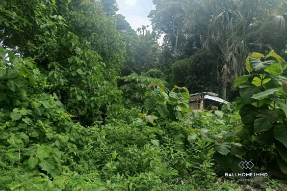 Image 10 from Residential Land for Sale Freehold in Jimbaran
