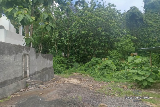 Image 7 from Residential Land for Sale Freehold in Jimbaran