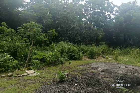 Image 8 from Residential Land for Sale Freehold in Jimbaran