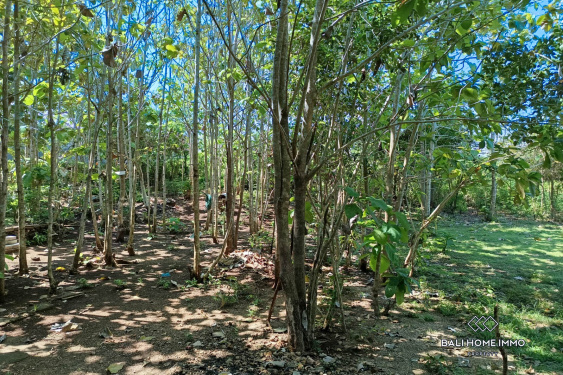 Image 4 from Residential Land for Sale Freehold in Kutuh