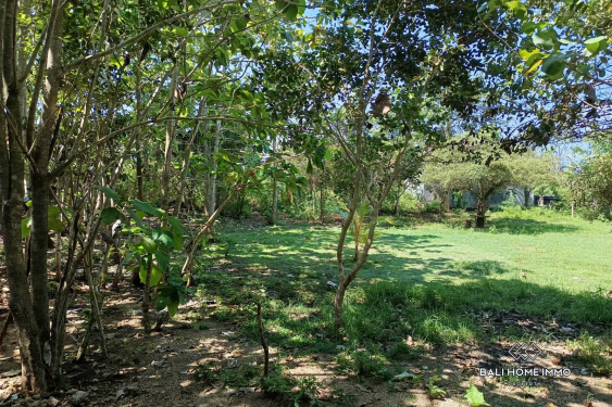 Image 2 from Residential Land for Sale Freehold in Kutuh