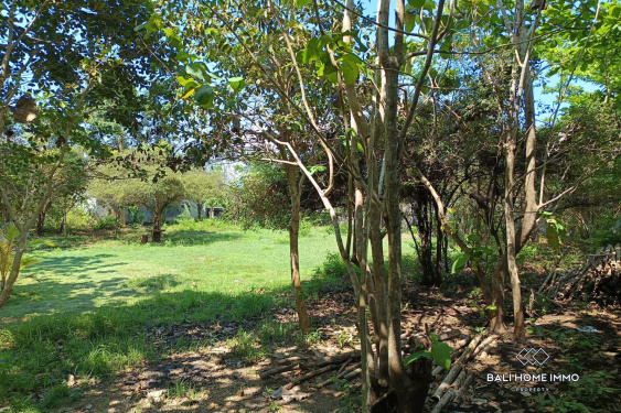Image 3 from Residential Land for Sale Freehold in Kutuh