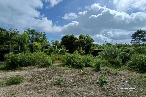 Image 4 from Terrain résidentiel à vendre en pleine propriété à Sawangan - Nusa Dua