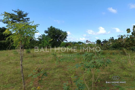 Image 4 from Tanah Perumahan Dijual dengan Hak Milik di Ungasan