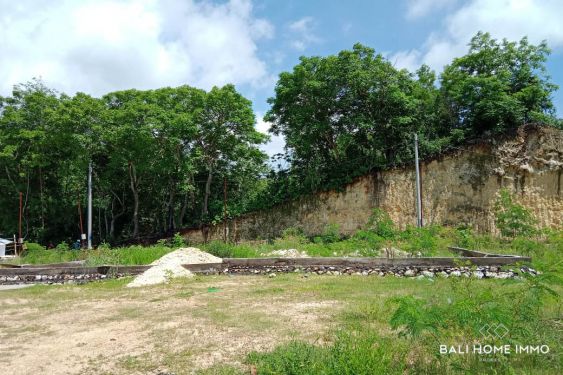 Image 4 from TERRAIN RÉSIDENTIEL À VENDRE EN PLEINE PROPRIÉTÉ À UNGASAN PRÈS DE LA PLAGE DE MELASTI