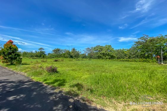 Image 2 from Land for Sale Freehold Near the beach in Bali Kedungu