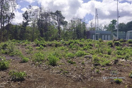 Image 4 from Terrain résidentiel à vendre à Ungasan