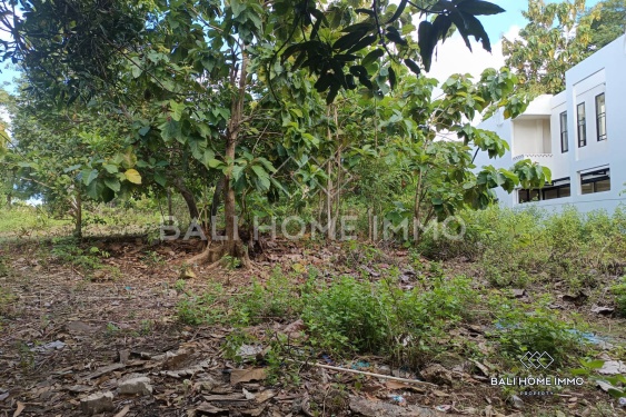 Image 3 from Residential Land for Sale Leasehold in Balangan