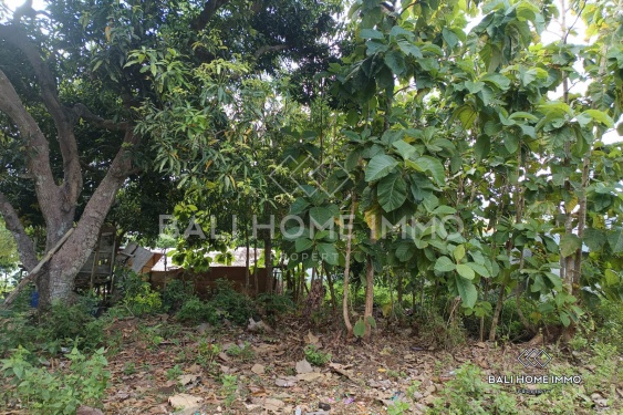 Image 4 from Residential Land for Sale Leasehold in Balangan