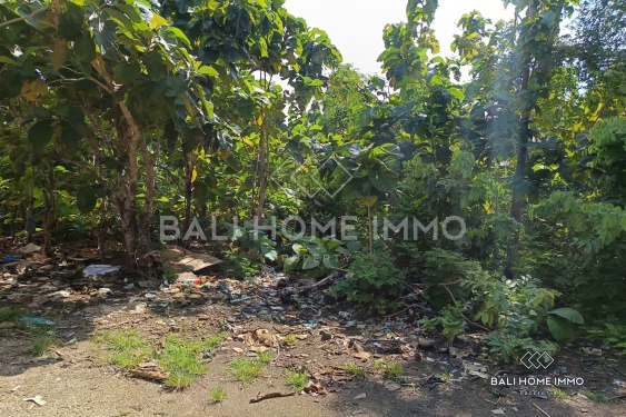 Image 2 from Tanah Perumahan Dijual dengan Status Hak Sewa di Balangan