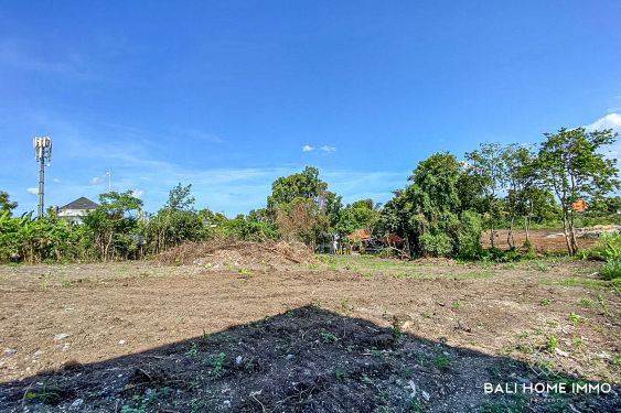Image 2 from terrain résidentiel à vendre leasing à Bali Pererenan