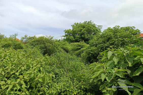 Image 4 from Residential Zoning Land for Sale Freehold in Jimbaran