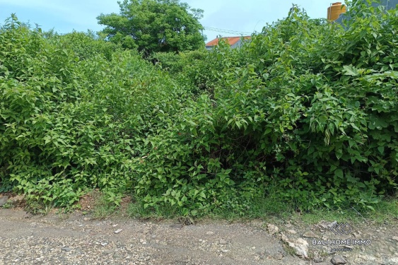 Image 3 from Residential Zoning Land for Sale Freehold in Jimbaran