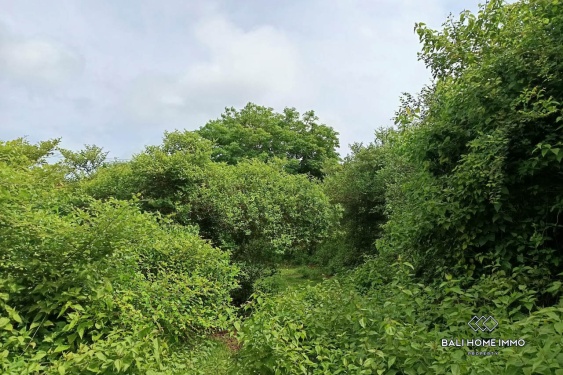 Image 2 from Residential Zoning Land for Sale Freehold in Jimbaran
