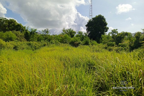 Image 4 from Residential Zoning Land for Sale Freehold in Pandawa