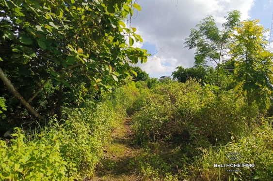 Image 5 from Residential Zoning Land for Sale Freehold in Pandawa