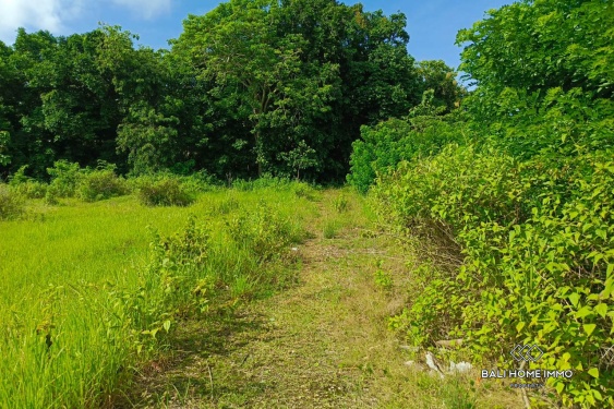 Image 3 from Tanah Zonasi Perumahan Dijual Hak Milik di Pandawa