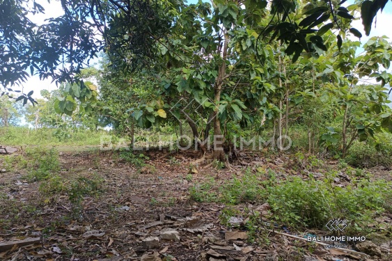 Image 4 from Residential Zoning  Land for Sale Leasehold in Balangan