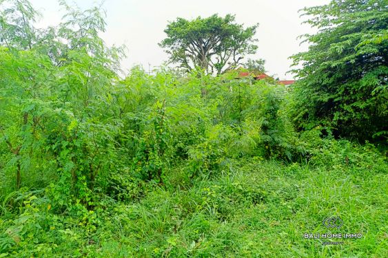 Image 3 from Dijual Tanah Zonasi Perumahan Hak Sewa di Nyang Nyang
