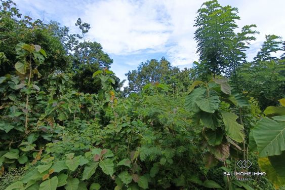 Image 3 from Dijual Lahan Hunian dengan Hak Sewa di Ungasan