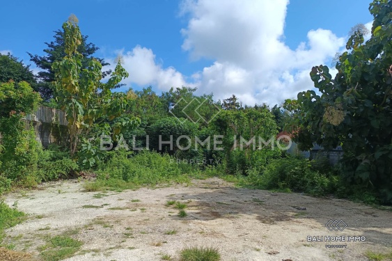 Image 2 from Residential Zoning Land for Sale Leasehold in Ungasan