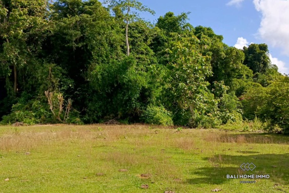 Image 3 from Tanah Zonasi Perumahan Dijual Hak Sewa di Ungasan