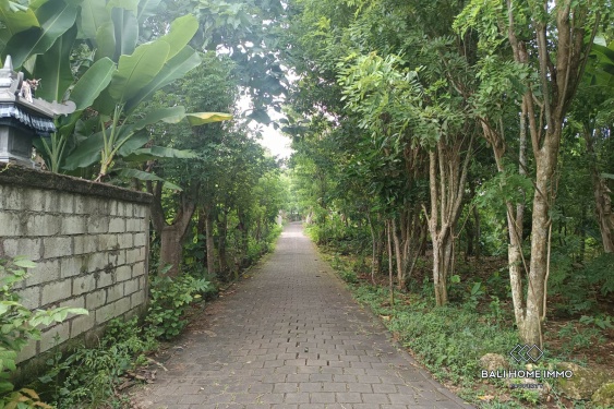 Image 6 from Residential Zoning Land for Sale Leasehold in Ungasan