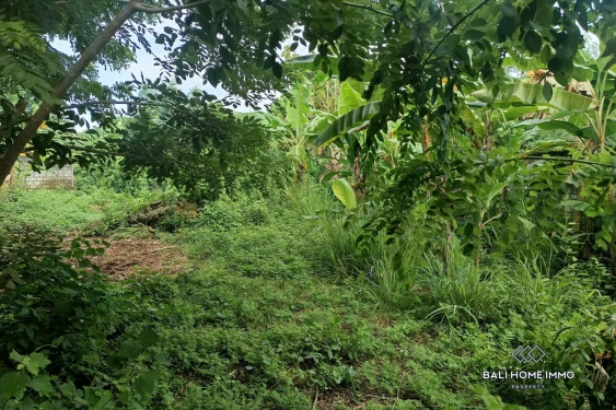 Image 4 from Residential Zoning Land for Sale Leasehold in Ungasan