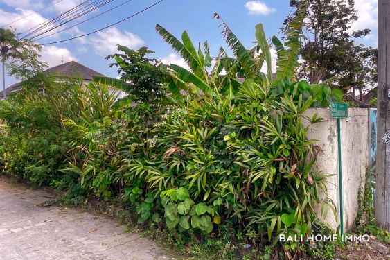 Image 2 from STREET FRONT RICE FIELD VIEW LAND FOR SALE LEASEHOLD IN BALI UMALAS