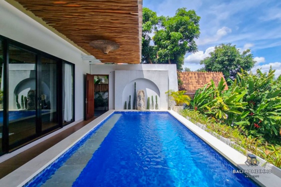 Image 1 from Villa 1 Kamar berpemandangan Sawah untuk Disewakan Tahunan di Bali Canggu Babakan