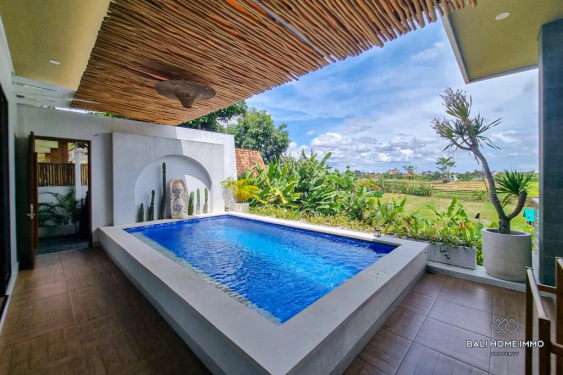 Image 19 from Villa 1 Kamar berpemandangan Sawah untuk Disewakan Tahunan di Bali Canggu Babakan