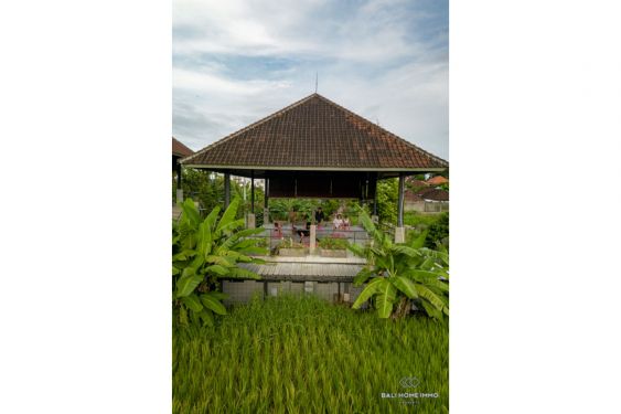 Image 20 from Ricefield View 15 Rooms Hostel for Sale in Bali Canggu Batubolong Echo beach