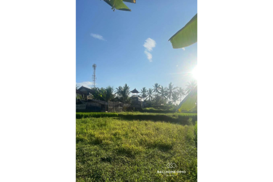 Image 7 from Vue sur la rizière 17,5 ares de terrain à vendre à Pejeng Gianyar
