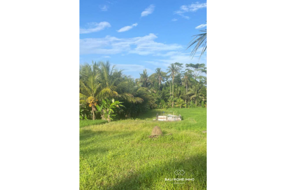 Image 2 from Vue sur la rizière 17,5 ares de terrain à vendre à Pejeng Gianyar