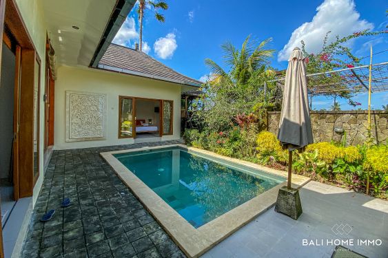 Image 1 from Vila 2 Kamar Tidur Berpemandangan Sawah untuk Disewakan di Bali Kaba Kaba