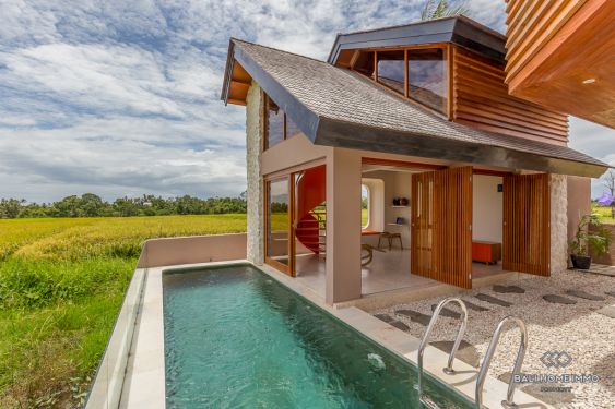 Image 2 from villa de 2 chambres avec vue sur les rizières à vendre en pleine propriété à Bali Kedungu