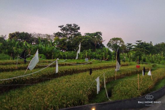 Image 18 from Dijual Villa 2 Kamar Berpemandangan Sawah di Bali Pererenan Tumbak Bayuh